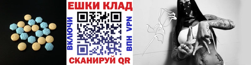 Купить где  Касимов  Ecstasy Philipp Plein 