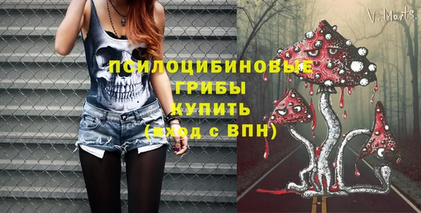 меф Горняк