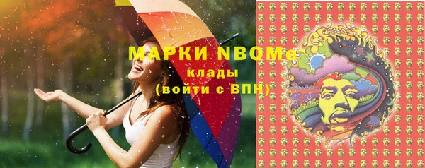 хмурый Горно-Алтайск