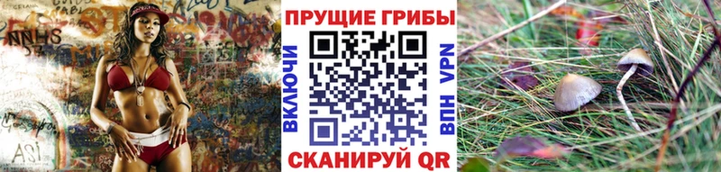 Купить закладки  Касимов  Галлюциногенные грибы MAGIC MUSHROOMS 